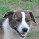 ���� ������, ������ - ��������� 24 ��� 2012 � ������ �������