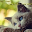 ���� ������, �����-��������� - ��������� 15 ���� 2011 � ������ ��������� �������