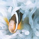 ���� ����� - ���������� ��������!!!, �����������, 56 ��� - ��������� 12 ������ 2010 � ������ ������