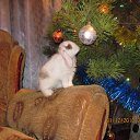 ���� ����, ��������� - ��������� 9 ������ 2011 � ������ ���� ������ ������!�