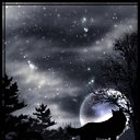 ���� &dagger;���� Wolfa ������&dagger;, ������ ��������, 27 ��� - ��������� 8 ������ 2010 � ������ ������