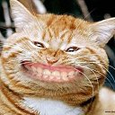 ���� ���������, ���������, 63 ���� - ��������� 8 ��� 2013 � ������ ���� ����������