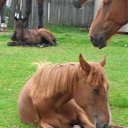 ���� �����, ���������, 60 ��� - ��������� 11 ������� 2012 � ������ �������