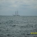 ���� Galina, ������ - ��������� 15 �������� 2010 � ������ �������