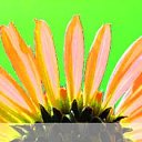 ���� ����, ������, 56 ��� - ��������� 24 ���� 2013 � ������ ���� ����������