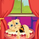 ���� �����, ����������, 27 ��� - ��������� 26 ����� 2010 � ������ ���� ����������