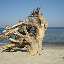 ���� ������, �����������, 55 ��� - ��������� 1 ���� 2011 � ������ ������