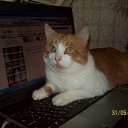 ���� �����, ������, 53 ���� - ��������� 8 ���� 2010 � ������ ���� ���.�