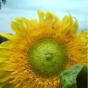  , -, 40  -  14  2011   