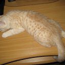 ���� ~��~, ������������, 38 ��� - ��������� 10 ����� 2010 � ������ ���� ����� �����