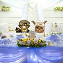 ���� �������, ����, 34 ���� - ��������� 18 ��� 2012 � ������ �������� ����� � �����