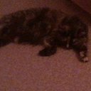 ���� ����, �����, 67 ��� - ��������� 13 ������� 2012 � ������ �������