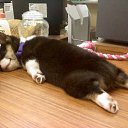 ���� �����, ������, 46 ��� - ��������� 5 ������� 2012