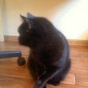  Zanna, , 53  -  16  2012    