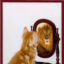 ������, ����