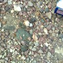 ���� ���������, �����������, 43 ���� - ��������� 11 ������ 2012 � ������ �_.-;(*,!,*);-,_�