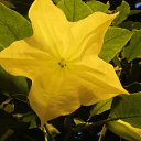 ���� ������, ��������, 66 ��� - ��������� 5 ������ 2013 � ������ ���� ����������