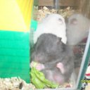 ���� ������ :3, ������, 23 ���� - ��������� 30 ������� 2010 � ������ ���� ����������