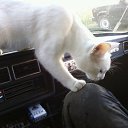 ���� ������, �����-���������, 56 ��� - ��������� 22 ������� 2011