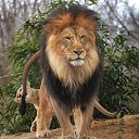 ���� �����, ������������, 45 ��� - ��������� 24 ���� 2013