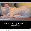 ���� �����, �����-���������, 41 ��� - ��������� 22 ��� 2013 � ������ ���� ����������