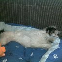 ���� Yushka Ya, �����-��������� - ��������� 12 ������ 2013 � ������ ���� �������)�