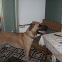 ���� ��� ����, ����, 67 ��� - ��������� 20 ��� 2011 � ������ �������