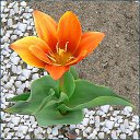 ���� ����. ��������� �� ��!, ������, 72 ���� - ��������� 15 ������ 2012 � ������ ���������