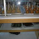 ���� Topazlu, �����������, 54 ���� - ��������� 31 ������� 2011 � ������ ���� ����������