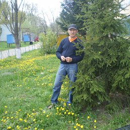 ���� ������, ������������, 75 ��� - ��������� 13 ������ 2012