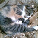 ���� ����, ��� - ��������� 11 ������ 2010 � ������ ���� ������� �������