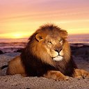 ���� ���, ����������, 45 ��� - ��������� 26 ������� 2012 � ������ ���� ����������