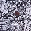 ���� ���������, ������, 66 ��� - ��������� 14 ������� 2012 � ������ ���� ����������