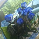 ���� �������, ��������, 37 ��� - ��������� 3 ������ 2012 � ������ �������