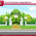 ���� ������, ���������, 48 ��� - ��������� 19 ������� 2010 � ������ �PetLove�