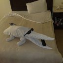 ���� Al, �����-���������, 56 ��� - ��������� 22 �������� 2011 � ������ �������