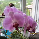 ���� �������, �����-���������, 65 ��� - ��������� 19 ���� 2012 � ������ ���� ����������