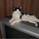 ���� ����, ������ - ��������� 11 ���� 2010 � ������ ������