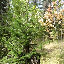 ���� �����, ������������ - ��������� 23 �������� 2012 � ������ ����������