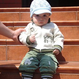 �����, �������, 43 ����