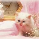 ���� �����, ������, 62 ���� - ��������� 22 ������ 2011 � ������ ���������� ������