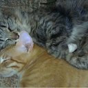 ���� �������, ������, 37 ��� - ��������� 14 ������� 2011 � ������ ���� ����������