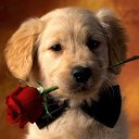 ���� ���, ������ - ��������� 4 ������ 2011 � ������ �������