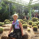 ���� �������, ����������� - ��������� 14 ������ 2013 � ������ ������� ������ 2013�