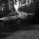 ���� ������, �����-���������, 43 ���� - ��������� 13 ������� 2012