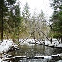 ���������� ����� �� ������� ������� � �������