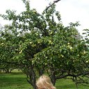 ���� �����, �������, 42 ���� - ��������� 17 �������� 2011 � ������ �������