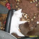 ���� ���������, ����������, 35 ��� - ��������� 26 ������ 2011 � ������ ���������=)�