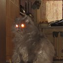 ���� ����, ������, 33 ���� - ��������� 15 ������ 2012 � ������ ���� ������� ������ =)�