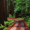 ���� Dima, ����, 46 ��� - ��������� 18 ���� 2010 � ������ ��������